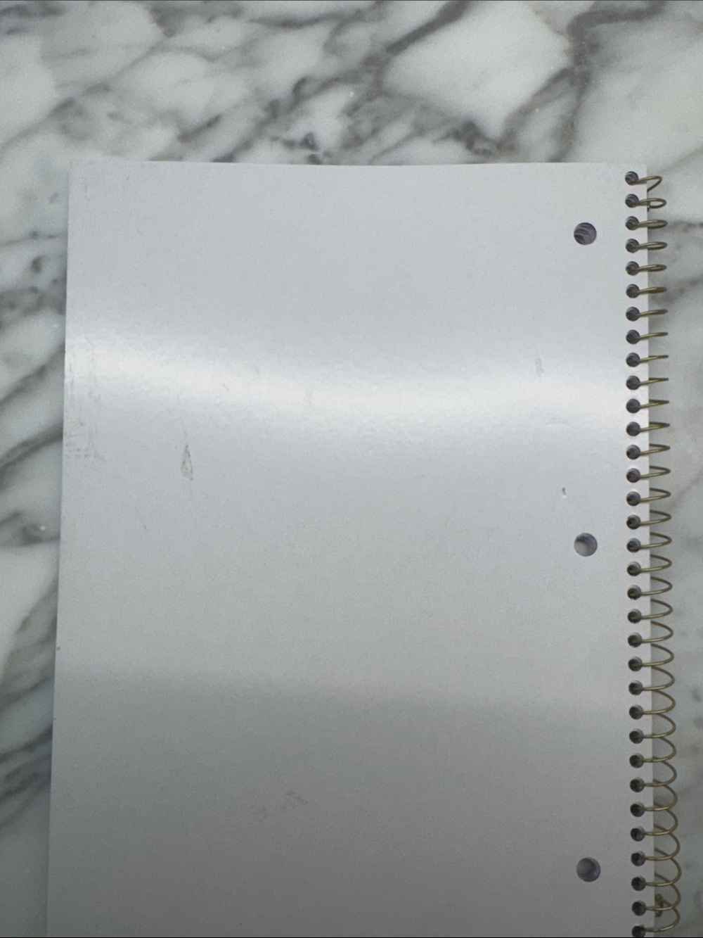 LoveShackFancy x Target Bundle Floral Spiral Notebook &  Ruffled Pouch NEW - Picture 5 of 9